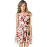 Summer Chiffon Sexy Dress